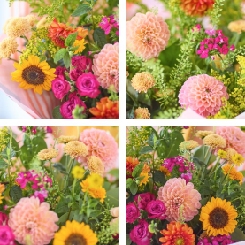 Delightful Dahlias Mix