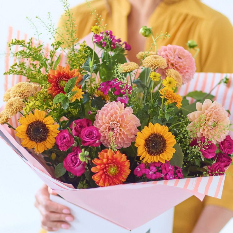 Delightful Dahlias Mix